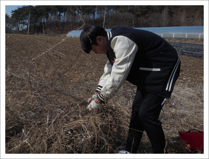 꾸미기_DSCN6071
