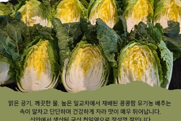 [가나안 농장소식] 유기농 절임배추 예약 판매